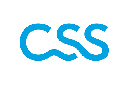 Office-Saanen GmbH - Partnerfirmen - CSS